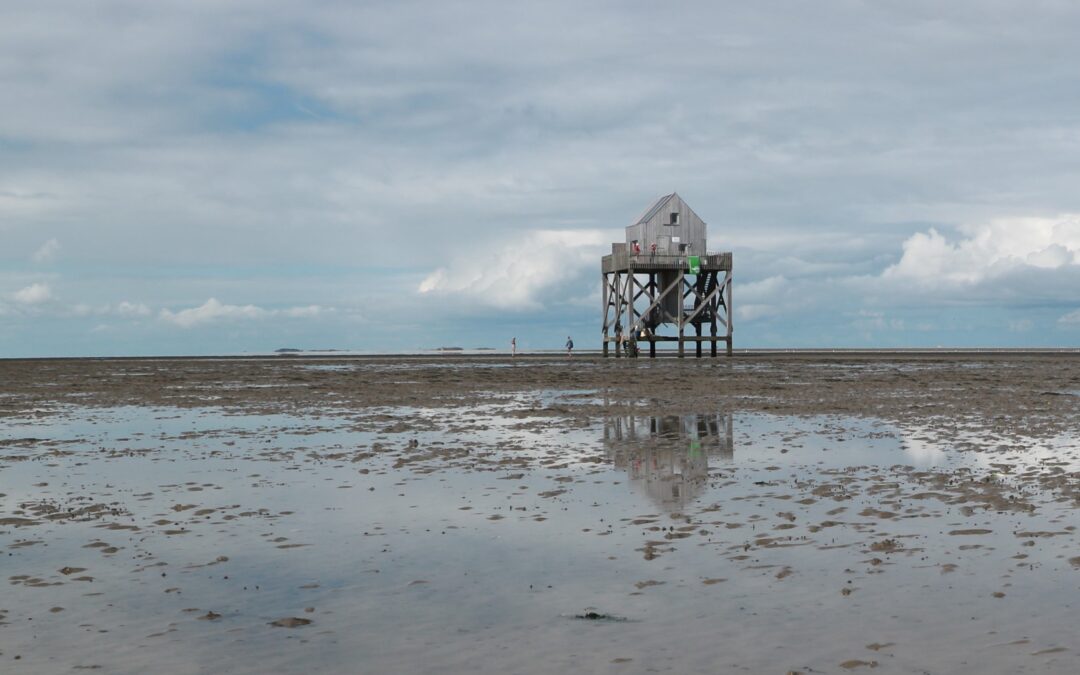 Augustus 2025 Engelsmanplaat